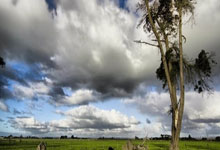 2020年足球世界杯赛程表是怎样的？